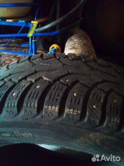 Nokian Tyres Hakkapeliitta 1 16/60 R6