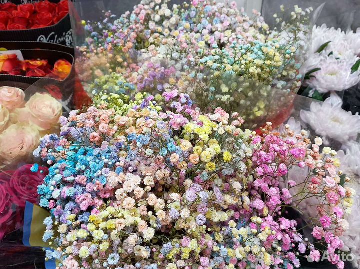 Гипсофила опт и розница