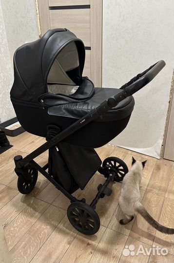 Коляска anex cross 3 в 1