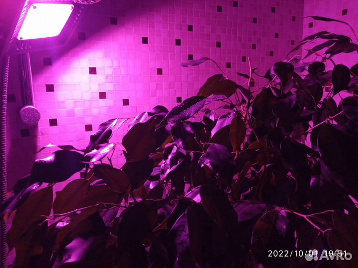 Светодиодная фитолампа