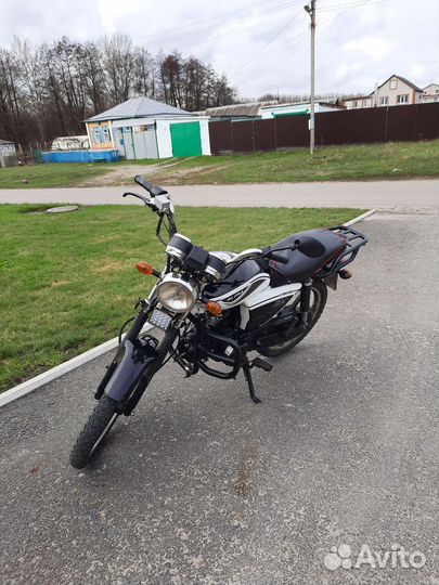 Alpha rx 125