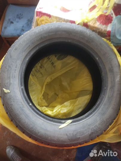 Gislaved Nord Frost 5 205/60 R16