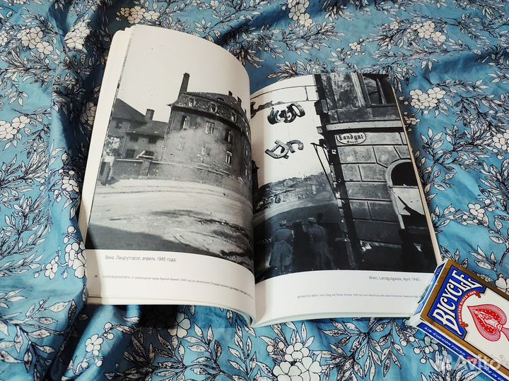 Освобожденная Вена