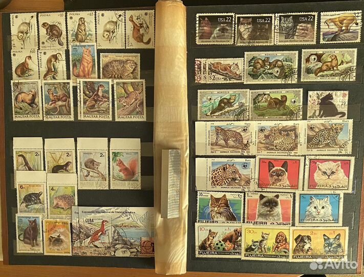 Почтовые марки по теме Кошки и Собаки