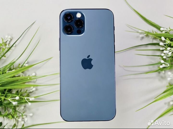 iPhone 12 pro 256 gb