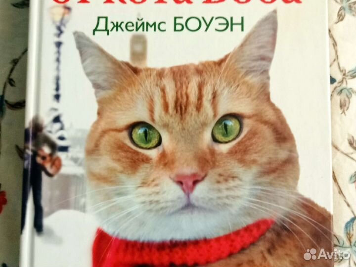 Уличный кот по имени боб