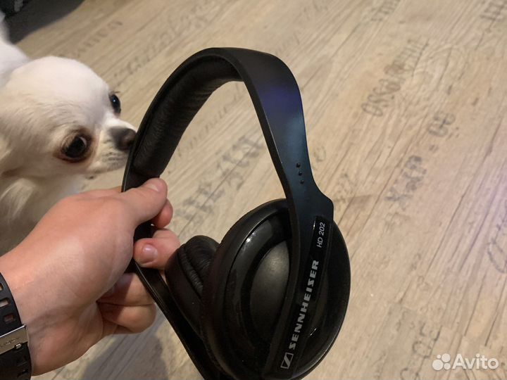 Наушники sennheiser hd 202