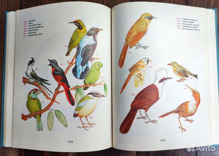 Книги птицы, млекопитающие