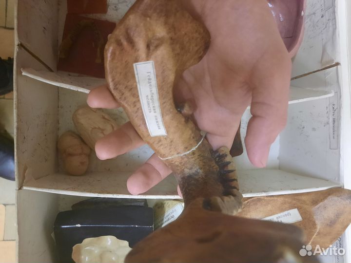 Муляжи древних останков