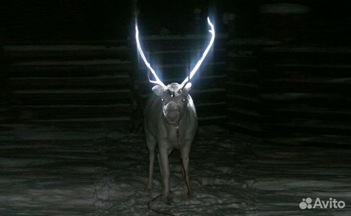 Светоотражающая светящаяся краска Akril