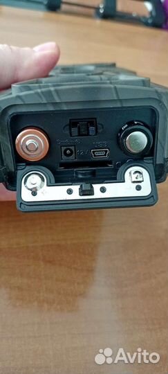 Фотоловушка