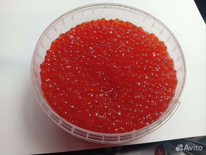 Красная икра август 2023
