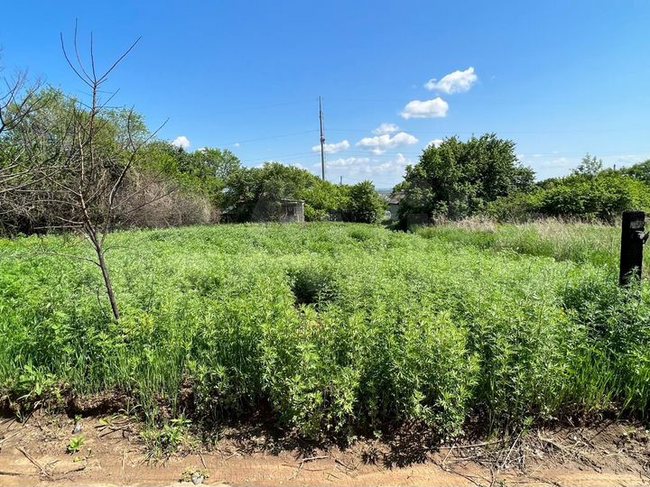 Участок 9 сот. (СНТ, ДНП)