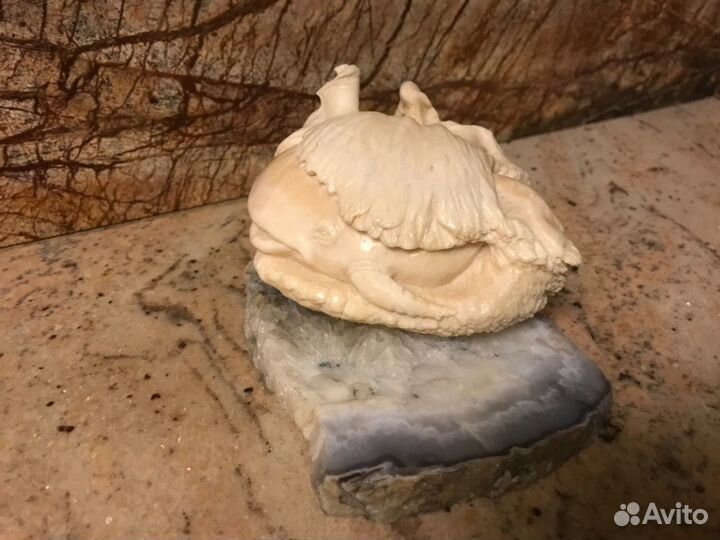 Композиция кит в море. Кость. Камень агат