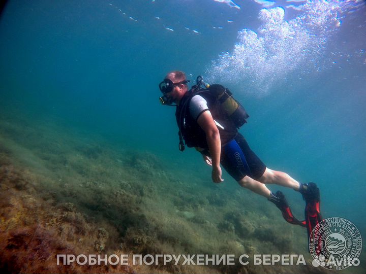 Дайвинг в Геленджике