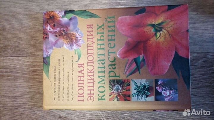Энциклопедия комнатных растений