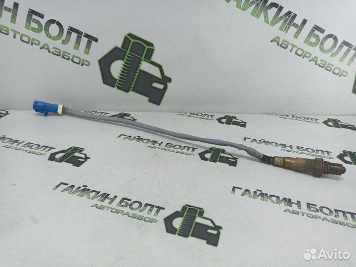 Датчик кислородный Ford Focus хэтчбек 5дв shda