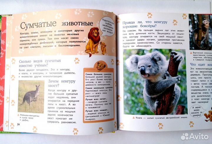 Большая энциклопедия животных