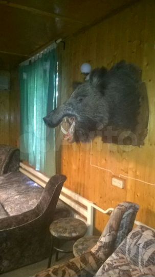 Дача 20 м² на участке 50 сот.