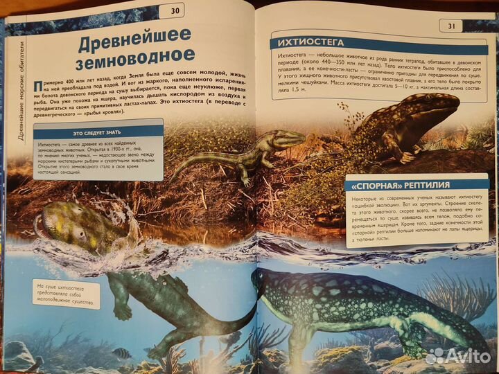 Энциклопедия 