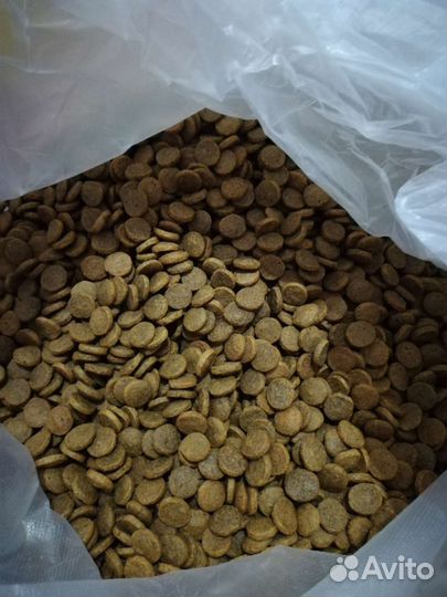 Сухой корм для кошек