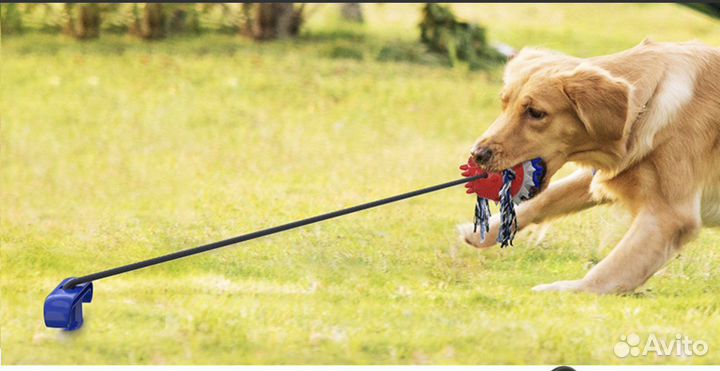 Товары для животных