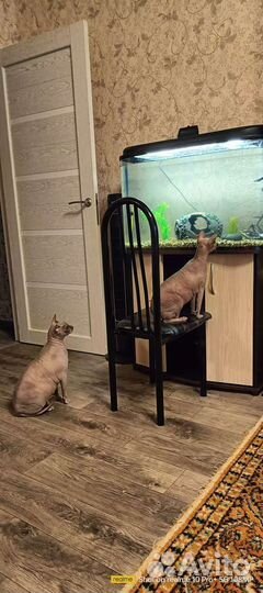 Аквариум с тумбой