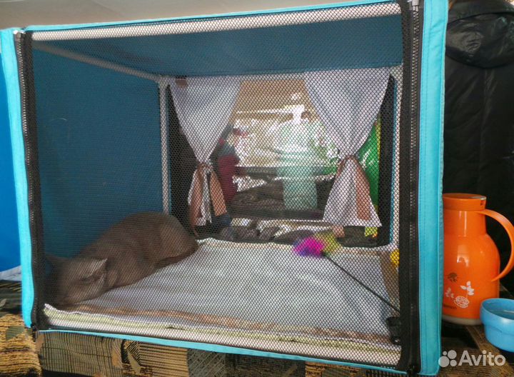 Украшение на палатку для выставки кошек