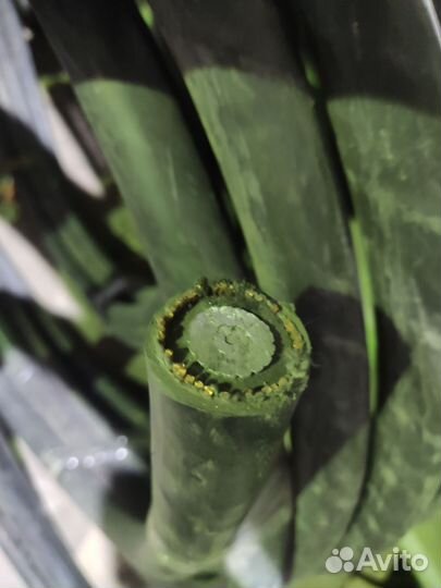 Кабель силовой апввнг - LS 1х240/50-10 17,5м