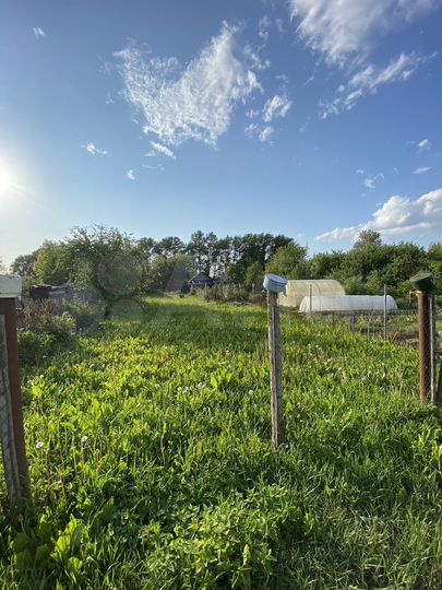 Участок 3,3 сот. (СНТ, ДНП)