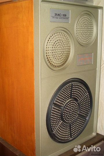 Колонки Вега 25ас 109