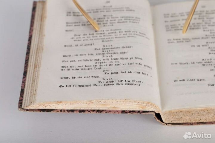 Гёте Иоганн. 19 век. 21 том. (Собрание)