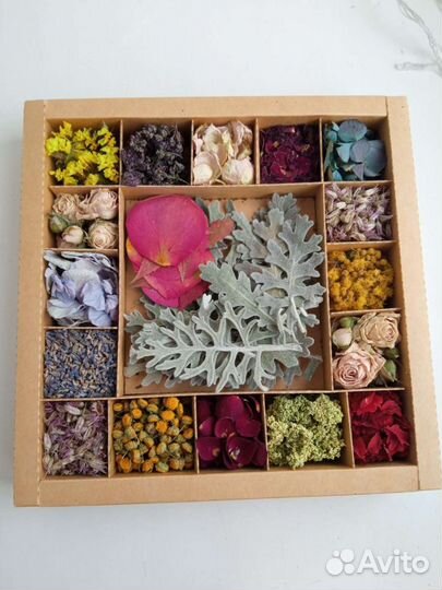 Сухоцветы для творчества