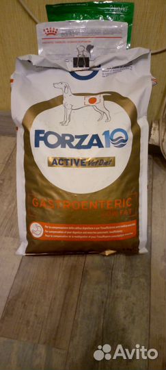 Forza 10 gastroenteric