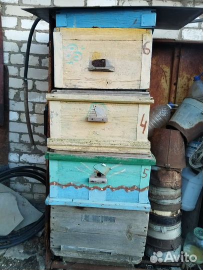 Продам ульи для пчел