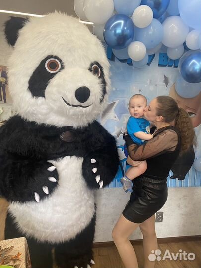 Поздравление Белого Медведя и его друзей