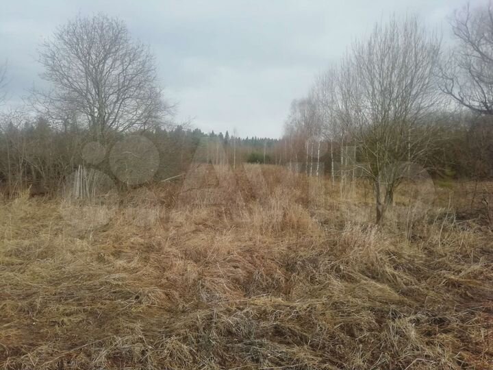 Участок 25 сот. (ИЖС)