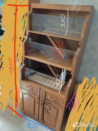 Стеллаж - витрина для грызунов