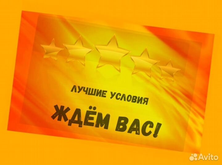 Комплектовщик Спецодежда Еженедельный аванс М/Ж