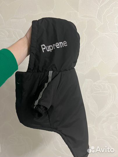 Одежда для собак