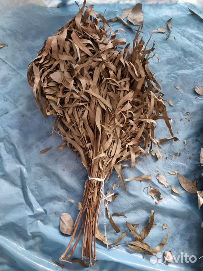 Банные веники эвкалипт