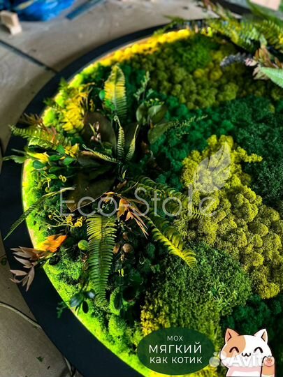 Круглое панно из стабилизированного мха