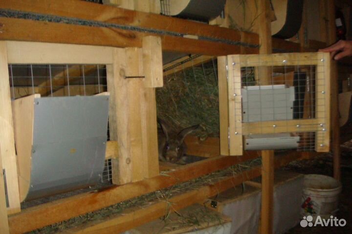 Мини ферма для разведения кроликов