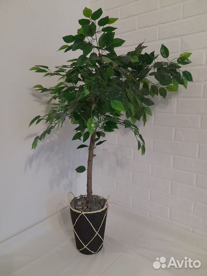 Искуственное растение декоративное дерево фикус
