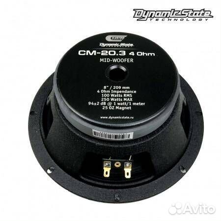 Dynamic State custom CM-20.3