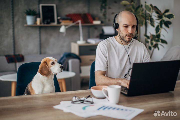 B2B-Лидоруб / Оператор колл-центра (удалённо)