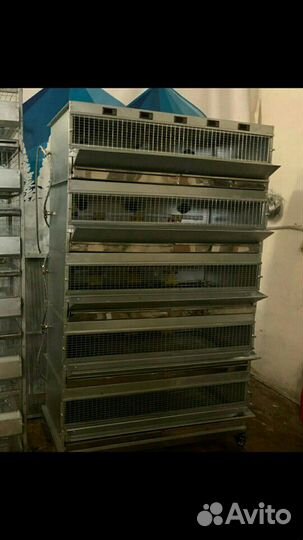 Перепелиные фермы под ключ, Фермы любой слож