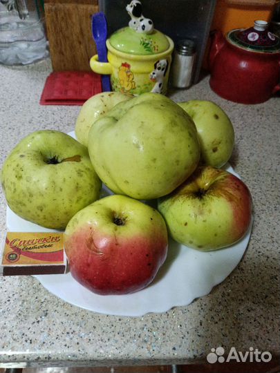 Яблоки сушеные