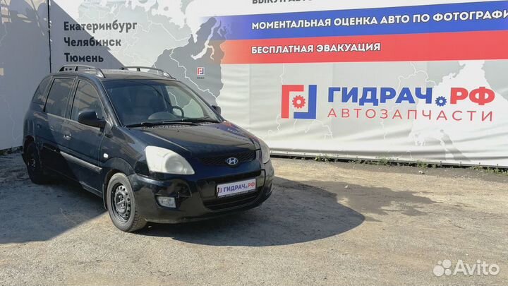 Панель задняя Hyundai Matrix (FC)