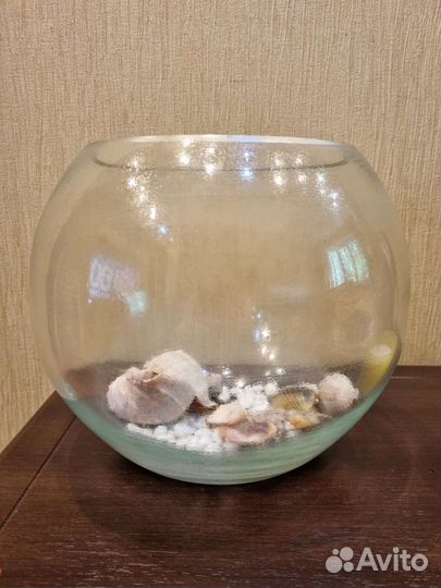 Аквариумные рыбки